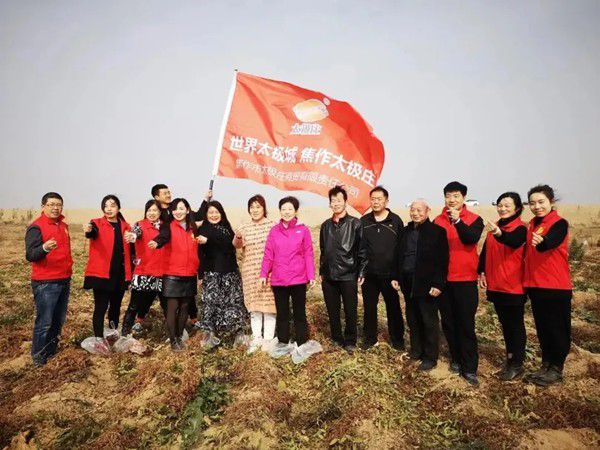 11月12日，眾人翹首以盼的太極莊山藥采挖活動在太極莊公司的溫縣·富硒鐵棍山藥標(biāo)準(zhǔn)化種植基地拉開帷幕